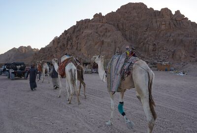 Ara Tatilde Mısır Rüyası – 5 Yıldızlı Otel Konaklamalı Sharm, Kahire ve Dahab Turu