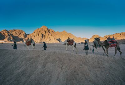 Ara Tatilde Mısır Rüyası – 5 Yıldızlı Otel Konaklamalı Sharm, Kahire ve Dahab Turu