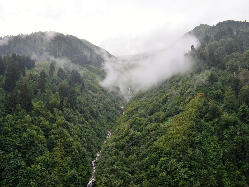 Karadeniz Yayla Turu 3 Gece 4 Gün – Rize Konaklamalı Ekonomik Paket