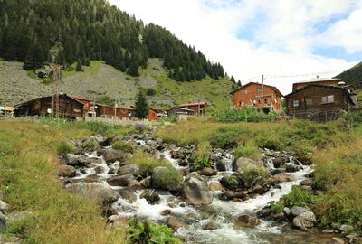 Rize Çıkışlı Ayder, Elevit Yaylası Ve Zil Kale Günübirlik Turu (Combo)