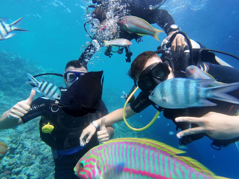 Hızlı Gezginler İle Rüya Rota Mısır Turu / Kahire Hurgada Luksor Ve Ekstra Turlar Dahil  25 Nisan - 1 Mayıs