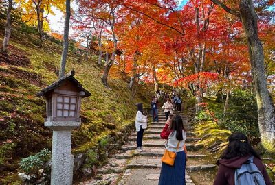 Dilara İle Grand Japonya Turu THY İle Direkt Uçuş 7 Gece 9 Gün