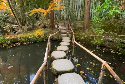 Dilara İle Grand Japonya Turu THY İle Direkt Uçuş 7 Gece 9 Gün