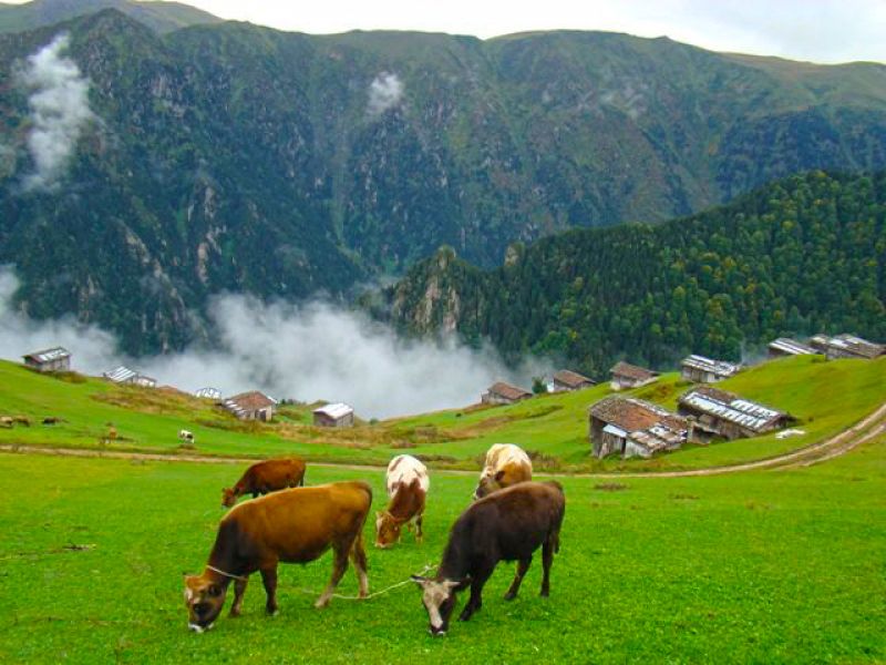 Karadeniz'in Muhteşem Sanatçısı Engin Orta ile Karadeniz Turu ( Kurban Bayramı Özel )