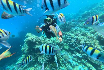 Dilara ile Rüya Rota Mısır Turu / Kahire Hurgada Luksor Ve Ekstra Turlar Dahil