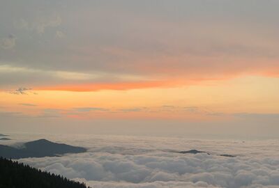 Rize Hareketli Pokut Huser Günübirlik Yayla Turu – 5 Yayla Bir Arada (Double Tur)