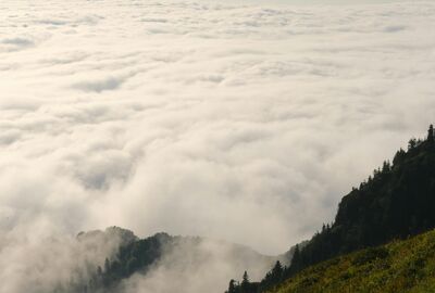 Rize Hareketli Pokut Huser Günübirlik Yayla Turu – 5 Yayla Bir Arada (Double Tur)